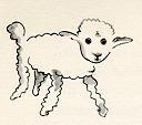 mini sheep