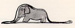 elephant under hat