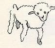 sheep from other side